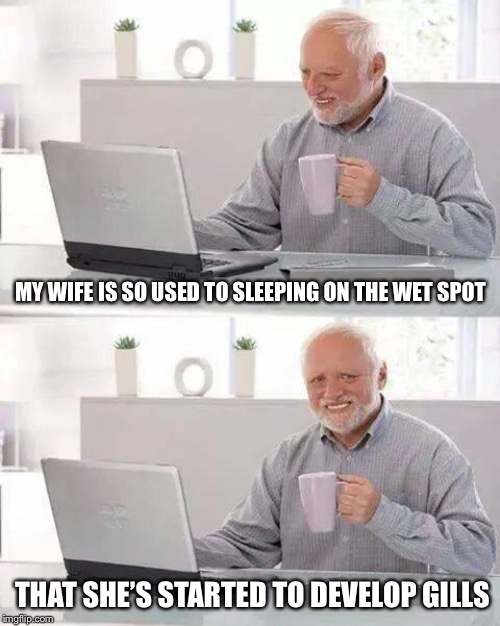 And she looks like a halibut... | MY WIFE IS SO USED TO SLEEPING ON THE WET SPOT; THAT SHE’S STARTED TO DEVELOP GILLS | image tagged in memes,hide the pain harold | made w/ Imgflip meme maker