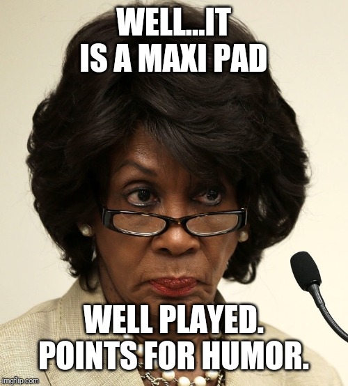 Maxine waters | WELL...IT IS A MAXI PAD WELL PLAYED. POINTS FOR HUMOR. | image tagged in maxine waters | made w/ Imgflip meme maker