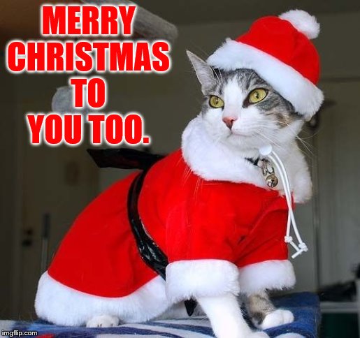 MERRY CHRISTMAS TO YOU TOO. | made w/ Imgflip meme maker
