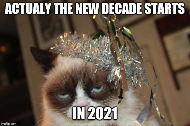 Grumpy Cat New Years | ACTUALY THE NEW DECADE STARTS; IN 2021 | image tagged in grumpy cat new years | made w/ Imgflip meme maker