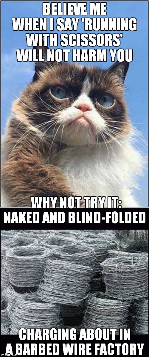 Grumpys Running with Scissors Challenge | BELIEVE ME WHEN I SAY 'RUNNING WITH SCISSORS' WILL NOT HARM YOU; WHY NOT TRY IT: NAKED AND BLIND-FOLDED; CHARGING ABOUT IN A BARBED WIRE FACTORY | image tagged in fun,grumpy cat,scissors,barbed wire,challenge | made w/ Imgflip meme maker