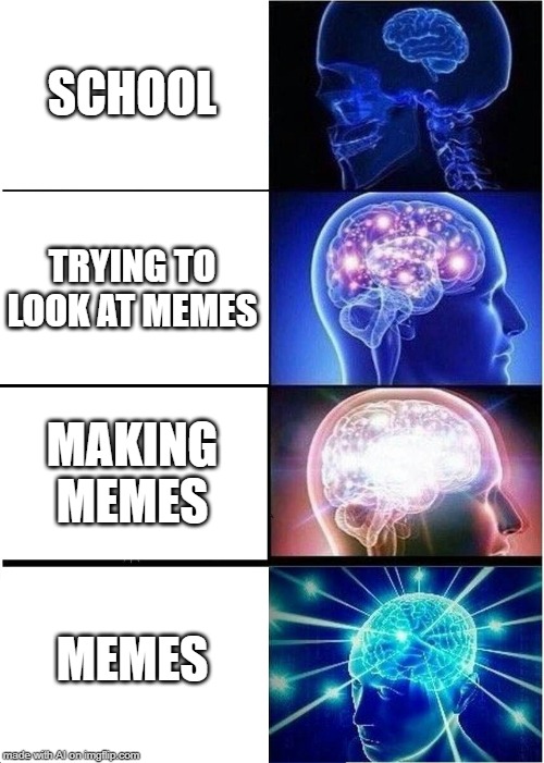 Expanding Brain | SCHOOL; TRYING TO LOOK AT MEMES; MAKING MEMES; MEMES | image tagged in memes,expanding brain | made w/ Imgflip meme maker