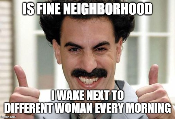 Great Success  | IS FINE NEIGHBORHOOD I WAKE NEXT TO DIFFERENT WOMAN EVERY MORNING | image tagged in great success | made w/ Imgflip meme maker