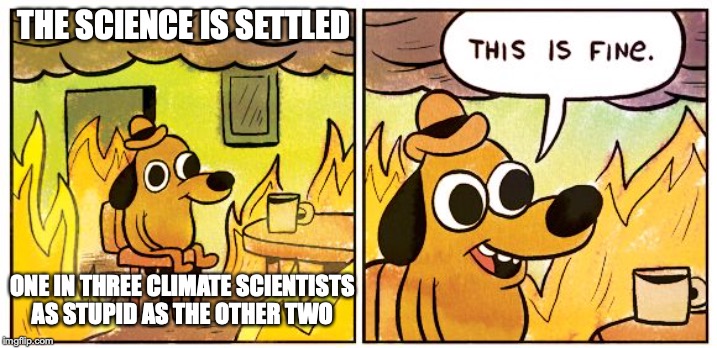 The Science is Settled | THE SCIENCE IS SETTLED; ONE IN THREE CLIMATE SCIENTISTS AS STUPID AS THE OTHER TWO | image tagged in this is fine dog | made w/ Imgflip meme maker