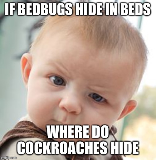 Skeptical Baby Meme | IF BEDBUGS HIDE IN BEDS; WHERE DO COCKROACHES HIDE | image tagged in memes,skeptical baby | made w/ Imgflip meme maker