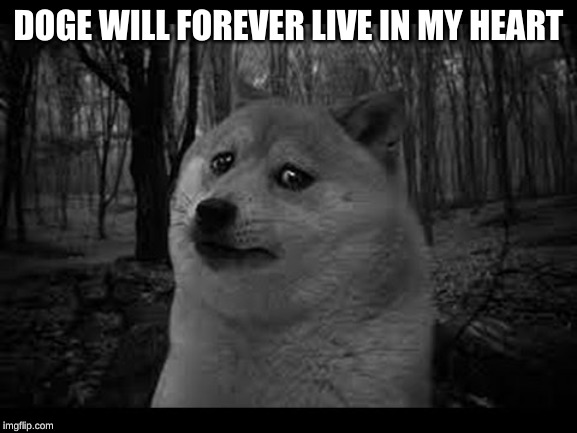 Very sad doge | DOGE WILL FOREVER LIVE IN MY HEART | image tagged in very sad doge | made w/ Imgflip meme maker