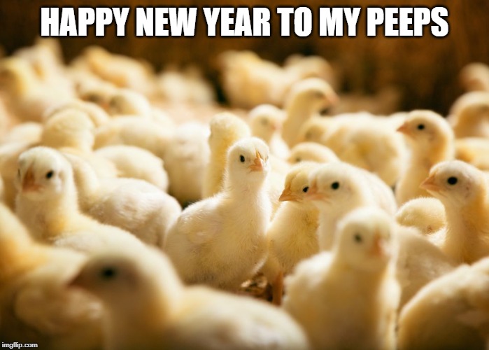 Happy New Year Peeps! | HAPPY NEW YEAR TO MY PEEPS | image tagged in happy new year,chicks,peeps,happy,new year | made w/ Imgflip meme maker