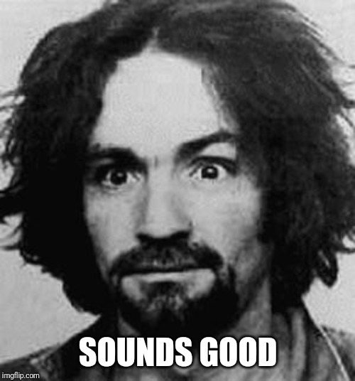 charles manson | SOUNDS GOOD | image tagged in charles manson | made w/ Imgflip meme maker