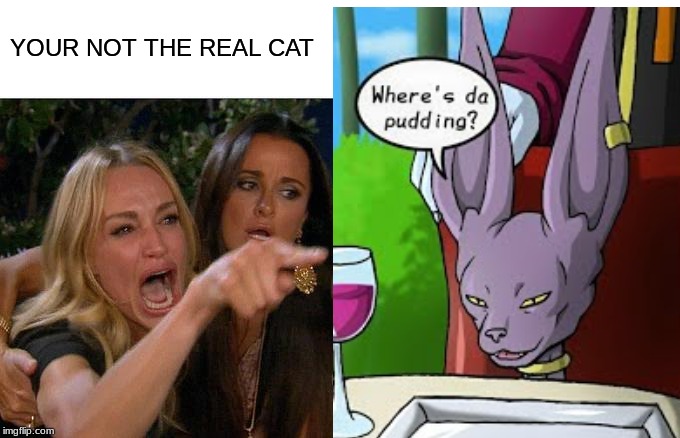 And this sorta happens | YOUR NOT THE REAL CAT | image tagged in woman yelling at cat,cats,beerus,dragon ball super | made w/ Imgflip meme maker