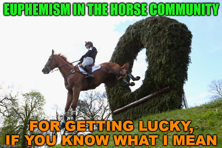 Like a train through a tunnel. | EUPHEMISM IN THE HORSE COMMUNITY; FOR GETTING LUCKY, IF YOU KNOW WHAT I MEAN | image tagged in just horsing around,lucky,bedroom | made w/ Imgflip meme maker