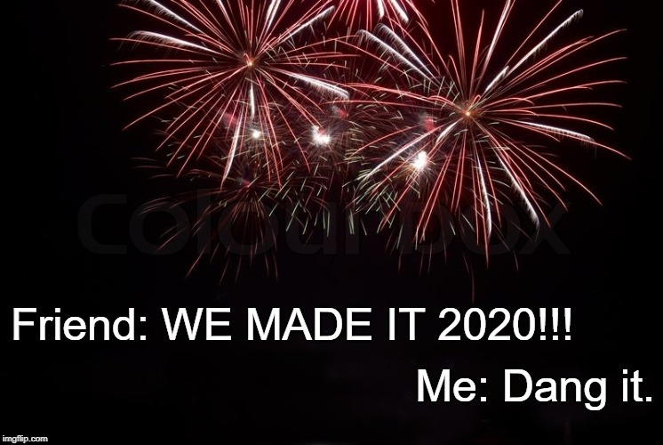 2020 | Me: Dang it. Friend: WE MADE IT 2020!!! | image tagged in happy new year | made w/ Imgflip meme maker