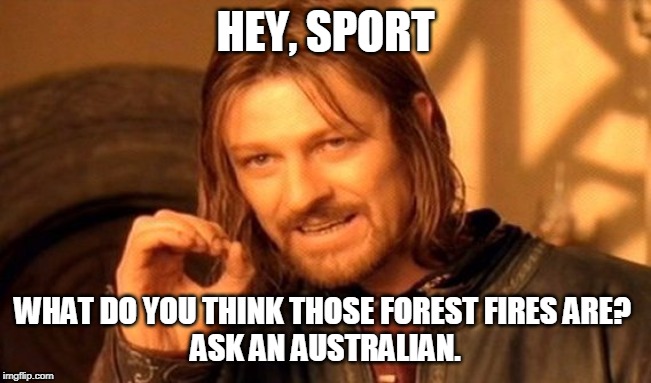 One Does Not Simply Meme | HEY, SPORT WHAT DO YOU THINK THOSE FOREST FIRES ARE? 
ASK AN AUSTRALIAN. | image tagged in memes,one does not simply | made w/ Imgflip meme maker