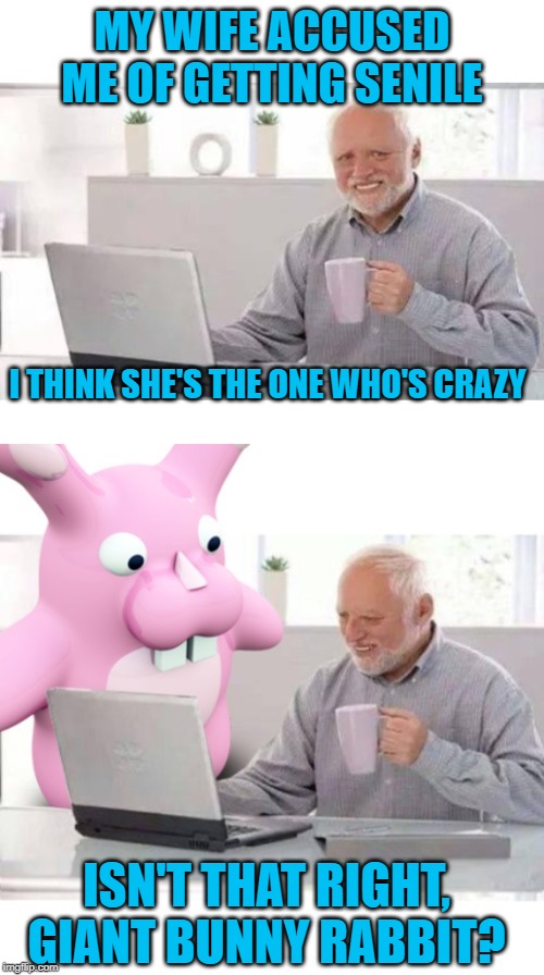 Crazy old Harold | MY WIFE ACCUSED ME OF GETTING SENILE; I THINK SHE'S THE ONE WHO'S CRAZY; ISN'T THAT RIGHT, GIANT BUNNY RABBIT? | image tagged in funny memes,memes,hide the pain harold,crazy,hallucinate | made w/ Imgflip meme maker