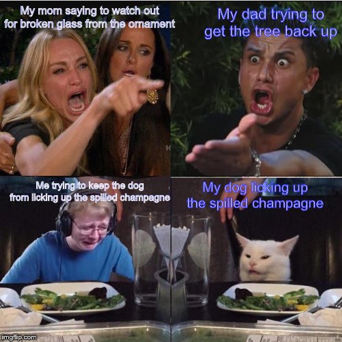 Based on a true story, which will be in the comments | My dad trying to get the tree back up; My mom saying to watch out for broken glass from the ornament; Me trying to keep the dog from licking up the spilled champagne; My dog licking up the spilled champagne | image tagged in woman screaming at cat four panel | made w/ Imgflip meme maker
