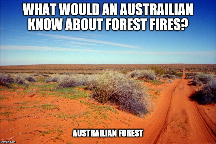 WHAT WOULD AN AUSTRAILIAN KNOW ABOUT FOREST FIRES? AUSTRAILIAN FOREST | made w/ Imgflip meme maker