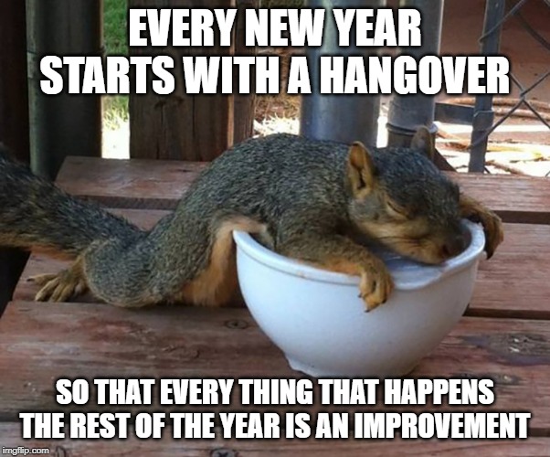 Drunk Squirrel  | EVERY NEW YEAR STARTS WITH A HANGOVER; SO THAT EVERY THING THAT HAPPENS THE REST OF THE YEAR IS AN IMPROVEMENT | image tagged in drunk squirrel | made w/ Imgflip meme maker