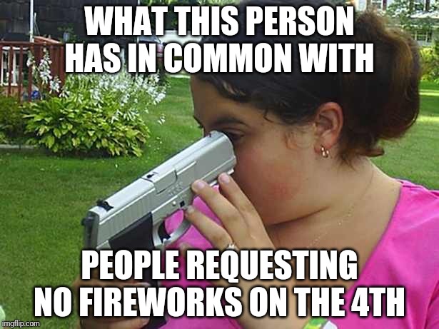 stupid | WHAT THIS PERSON HAS IN COMMON WITH; PEOPLE REQUESTING NO FIREWORKS ON THE 4TH | image tagged in stupid | made w/ Imgflip meme maker