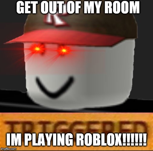 Roblox Triggered | GET OUT OF MY ROOM; IM PLAYING ROBLOX!!!!!! | image tagged in roblox triggered | made w/ Imgflip meme maker