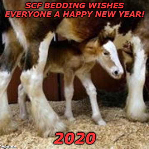 animal bedding | SCF BEDDING WISHES EVERYONE A HAPPY NEW YEAR! 2020 | image tagged in shavings | made w/ Imgflip meme maker