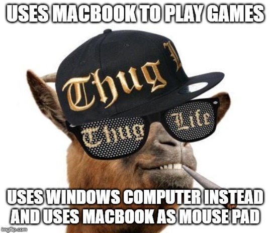 thug life camel | USES MACBOOK TO PLAY GAMES USES WINDOWS COMPUTER INSTEAD AND USES MACBOOK AS MOUSE PAD | image tagged in thug life camel | made w/ Imgflip meme maker