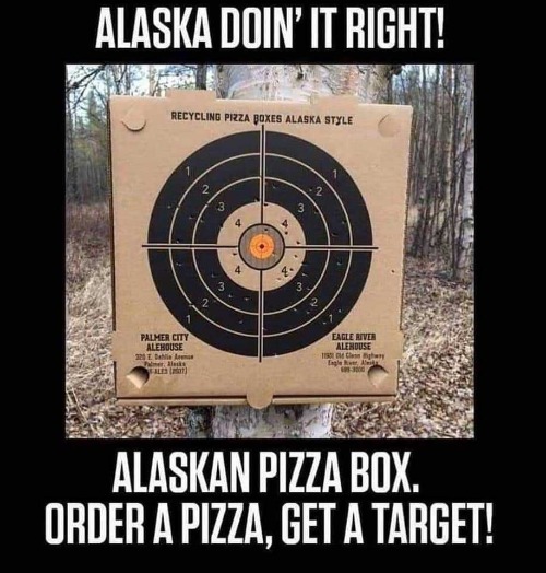 Alaska's Got the Right Idea | image tagged in pizza,alaska pizza,eagle river ale house,palmer city alehouse,recycling,target practice | made w/ Imgflip meme maker