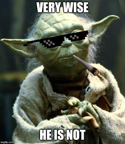 Star Wars Yoda | VERY WISE; HE IS NOT | image tagged in memes,star wars yoda | made w/ Imgflip meme maker