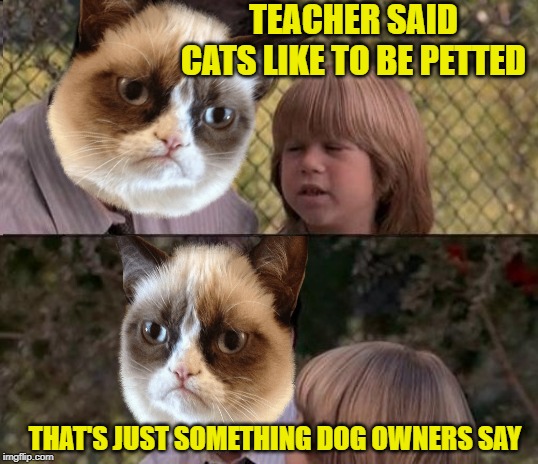 Cat Life | TEACHER SAID CATS LIKE TO BE PETTED; THAT'S JUST SOMETHING DOG OWNERS SAY | image tagged in memes,cat memes,grumpy cat,thats just something x say,cats | made w/ Imgflip meme maker