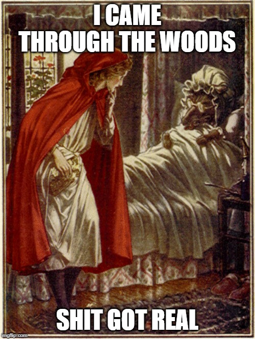 little red riding hood | I CAME THROUGH THE WOODS SHIT GOT REAL | image tagged in little red riding hood | made w/ Imgflip meme maker