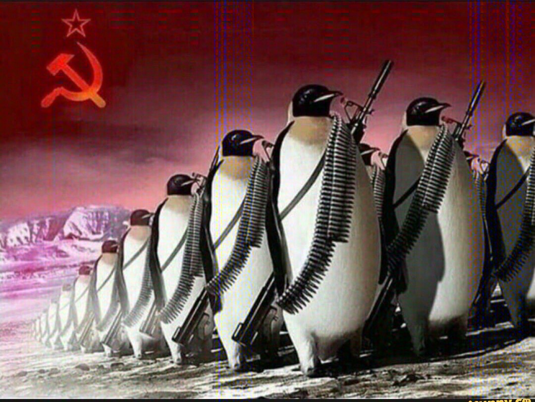 Penguin army Blank Meme Template