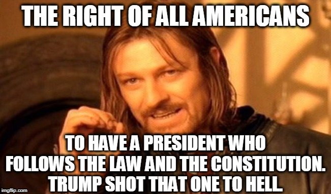 One Does Not Simply Meme | THE RIGHT OF ALL AMERICANS TO HAVE A PRESIDENT WHO FOLLOWS THE LAW AND THE CONSTITUTION. TRUMP SHOT THAT ONE TO HELL. | image tagged in memes,one does not simply | made w/ Imgflip meme maker