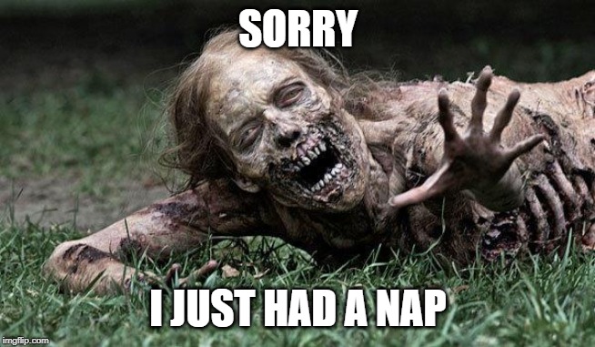 Walking Dead Zombie | SORRY I JUST HAD A NAP | image tagged in walking dead zombie | made w/ Imgflip meme maker