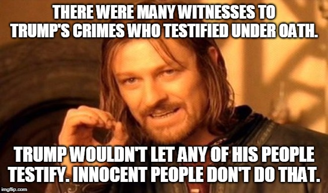 One Does Not Simply Meme | THERE WERE MANY WITNESSES TO TRUMP'S CRIMES WHO TESTIFIED UNDER OATH. TRUMP WOULDN'T LET ANY OF HIS PEOPLE TESTIFY. INNOCENT PEOPLE DON'T DO | image tagged in memes,one does not simply | made w/ Imgflip meme maker