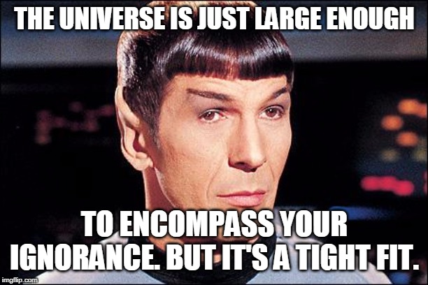 Condescending Spock | THE UNIVERSE IS JUST LARGE ENOUGH TO ENCOMPASS YOUR IGNORANCE. BUT IT'S A TIGHT FIT. | image tagged in condescending spock | made w/ Imgflip meme maker