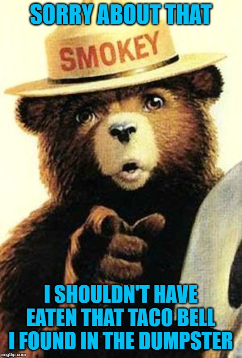 smokey the bear | SORRY ABOUT THAT I SHOULDN'T HAVE EATEN THAT TACO BELL I FOUND IN THE DUMPSTER | image tagged in smokey the bear | made w/ Imgflip meme maker