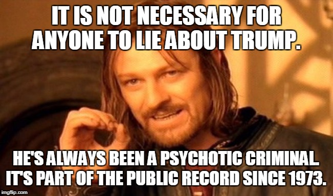 One Does Not Simply Meme | IT IS NOT NECESSARY FOR ANYONE TO LIE ABOUT TRUMP. HE'S ALWAYS BEEN A PSYCHOTIC CRIMINAL. IT'S PART OF THE PUBLIC RECORD SINCE 1973. | image tagged in memes,one does not simply | made w/ Imgflip meme maker