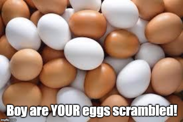 eggs | Boy are YOUR eggs scrambled! | image tagged in eggs | made w/ Imgflip meme maker