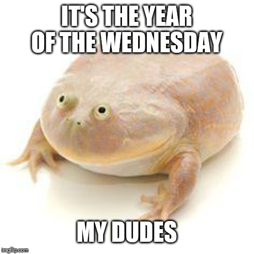 Wednesday Frog Blank |  IT'S THE YEAR OF THE WEDNESDAY; MY DUDES | image tagged in wednesday frog blank,new year,wednesday,dudes,my dudes | made w/ Imgflip meme maker