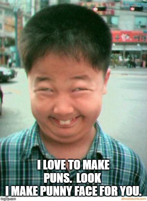 funny asian face | I LOVE TO MAKE PUNS.  LOOK 
I MAKE PUNNY FACE FOR YOU. | image tagged in funny asian face | made w/ Imgflip meme maker