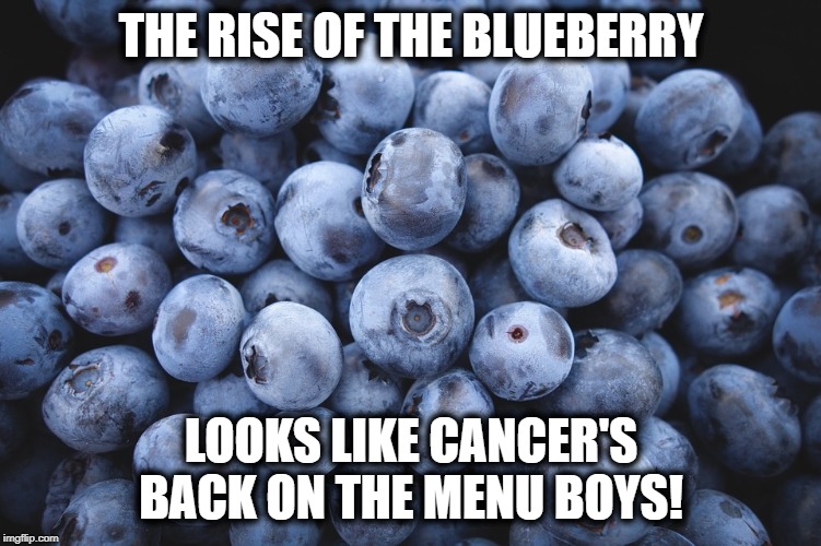 blueberries | THE RISE OF THE BLUEBERRY; LOOKS LIKE CANCER'S BACK ON THE MENU BOYS! | image tagged in blueberries | made w/ Imgflip meme maker