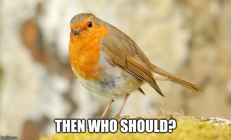 U wot m8 Robin | THEN WHO SHOULD? | image tagged in u wot m8 robin | made w/ Imgflip meme maker