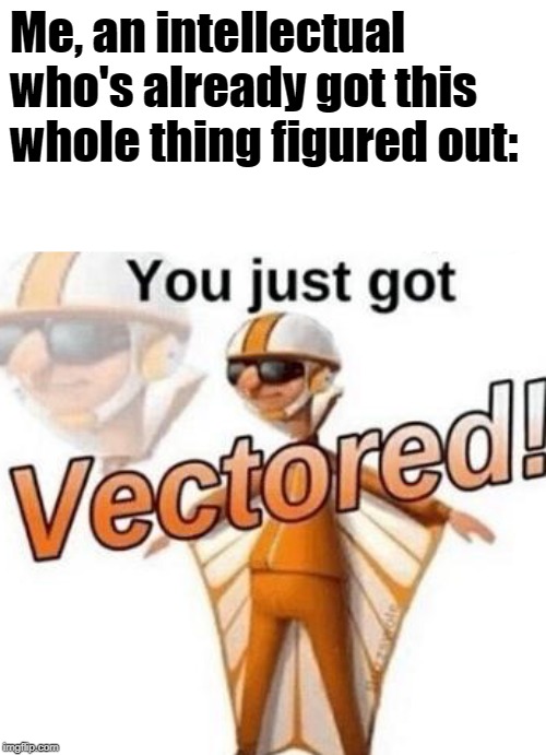 You just got vectored | Me, an intellectual who's already got this whole thing figured out: | image tagged in you just got vectored | made w/ Imgflip meme maker