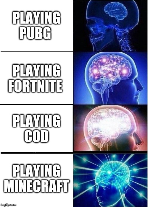 Expanding Brain | PLAYING PUBG; PLAYING FORTNITE; PLAYING COD; PLAYING MINECRAFT | image tagged in memes,expanding brain | made w/ Imgflip meme maker