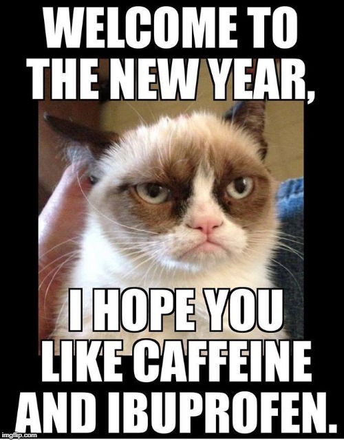 welcome to the new year | image tagged in hny,hungover,grumpy cat | made w/ Imgflip meme maker