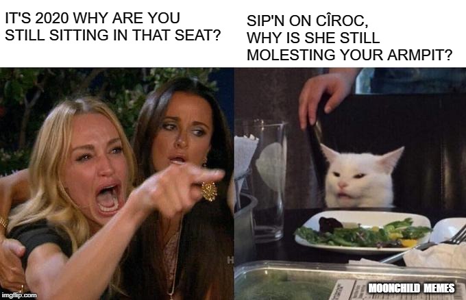 Woman Yelling At Cat Meme | IT'S 2020 WHY ARE YOU STILL SITTING IN THAT SEAT? SIP'N ON CÎROC, WHY IS SHE STILL MOLESTING YOUR ARMPIT? MOONCHILD  MEMES | image tagged in memes,woman yelling at cat | made w/ Imgflip meme maker