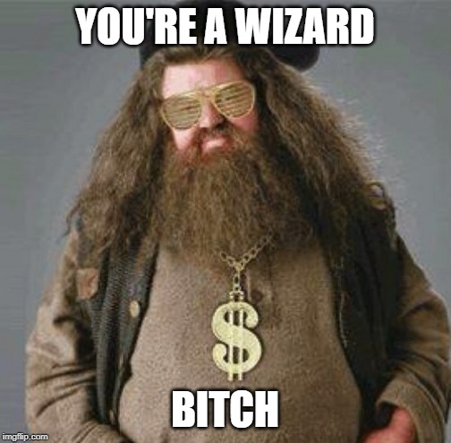 Hagrid in the crib | YOU'RE A WIZARD B**CH | image tagged in hagrid in the crib | made w/ Imgflip meme maker