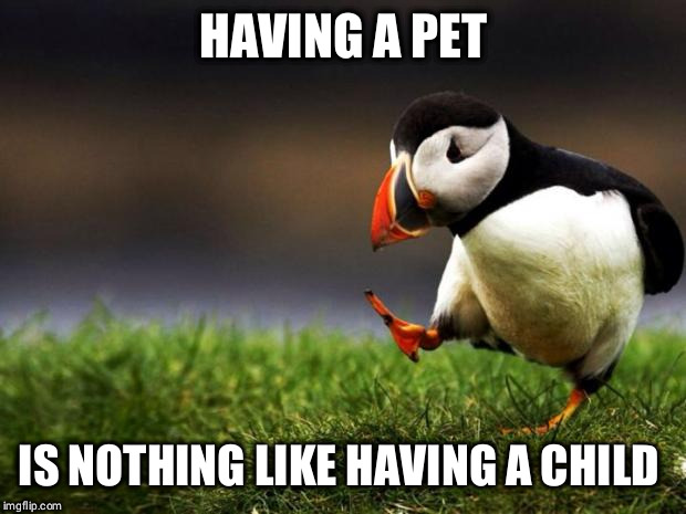 Unpopular Opinion Puffin Meme | HAVING A PET; IS NOTHING LIKE HAVING A CHILD | image tagged in memes,unpopular opinion puffin,AdviceAnimals | made w/ Imgflip meme maker