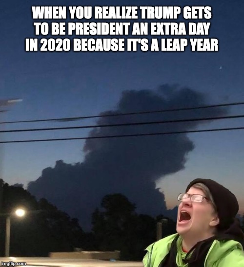 WHEN YOU REALIZE TRUMP GETS TO BE PRESIDENT AN EXTRA DAY IN 2020 BECAUSE IT'S A LEAP YEAR | image tagged in leap year,trump,protester | made w/ Imgflip meme maker