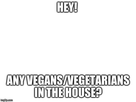 If so I have a Stream for you! | HEY! ANY VEGANS/VEGETARIANS IN THE HOUSE? | image tagged in blank white template | made w/ Imgflip meme maker