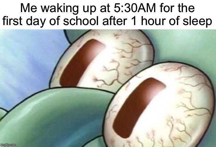 I need sleep | Me waking up at 5:30AM for the first day of school after 1 hour of sleep | image tagged in first day of school,funny,memes,school,sleep | made w/ Imgflip meme maker