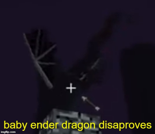 baby ender dragon | baby ender dragon disaproves | image tagged in baby ender dragon | made w/ Imgflip meme maker